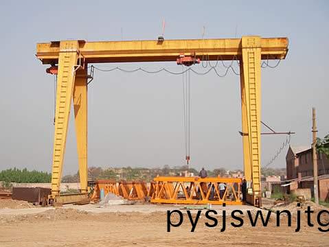 電(dian)動單(dan)樑起重(zhong)機(ji)